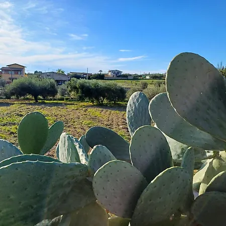 Rosetta Villaggio Mosè